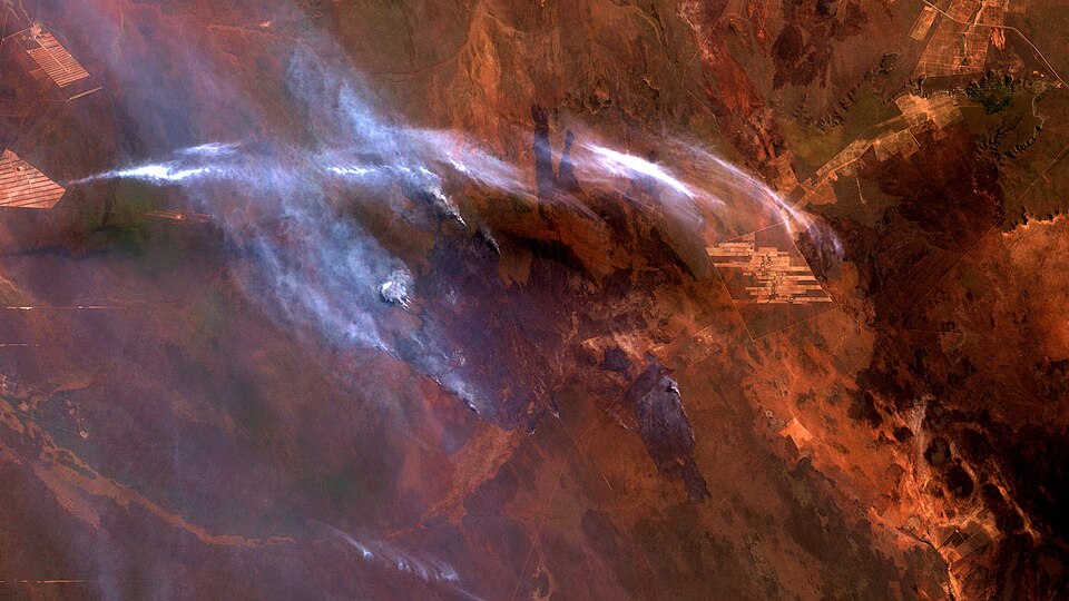 Incendios forestales masivos — 10 M ha quemadas