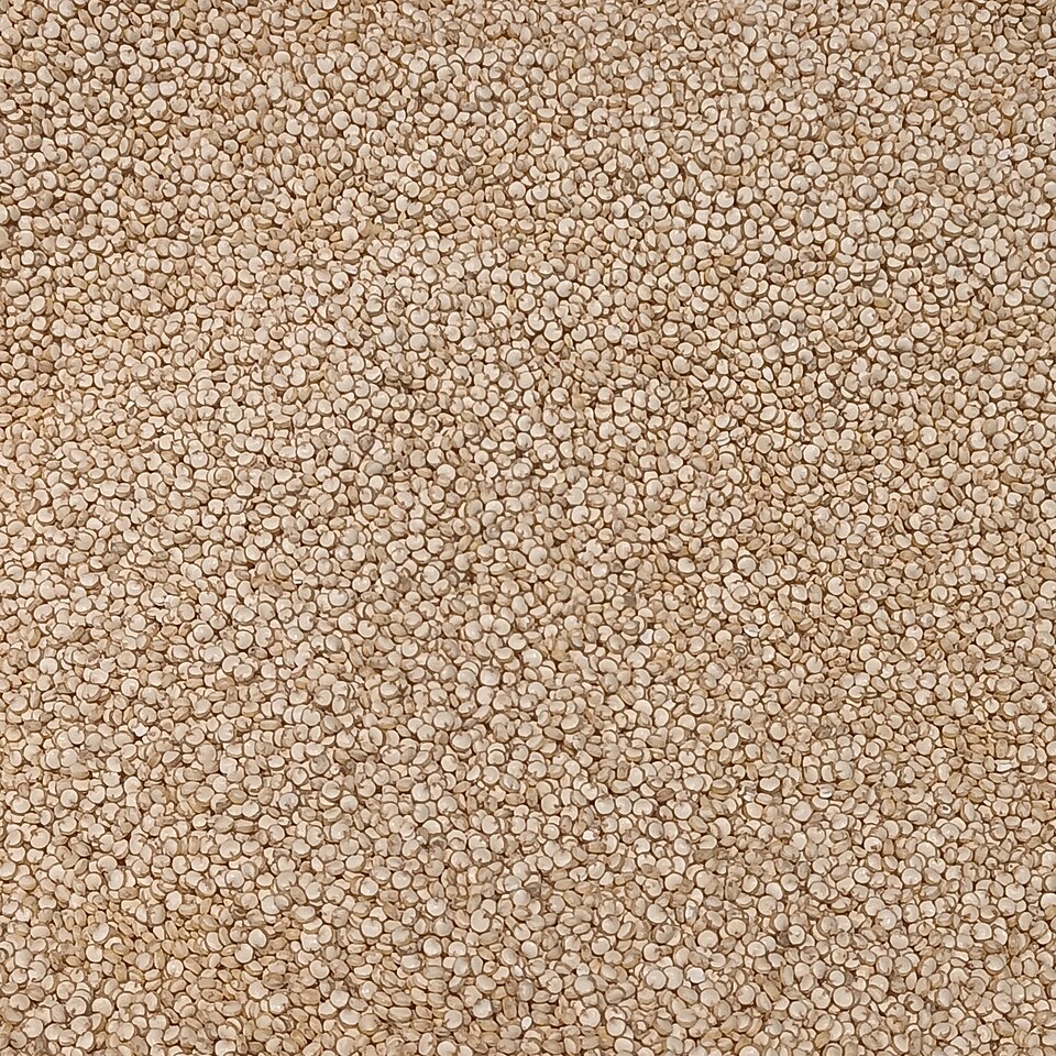 DS 29611 — Creación del INIAF