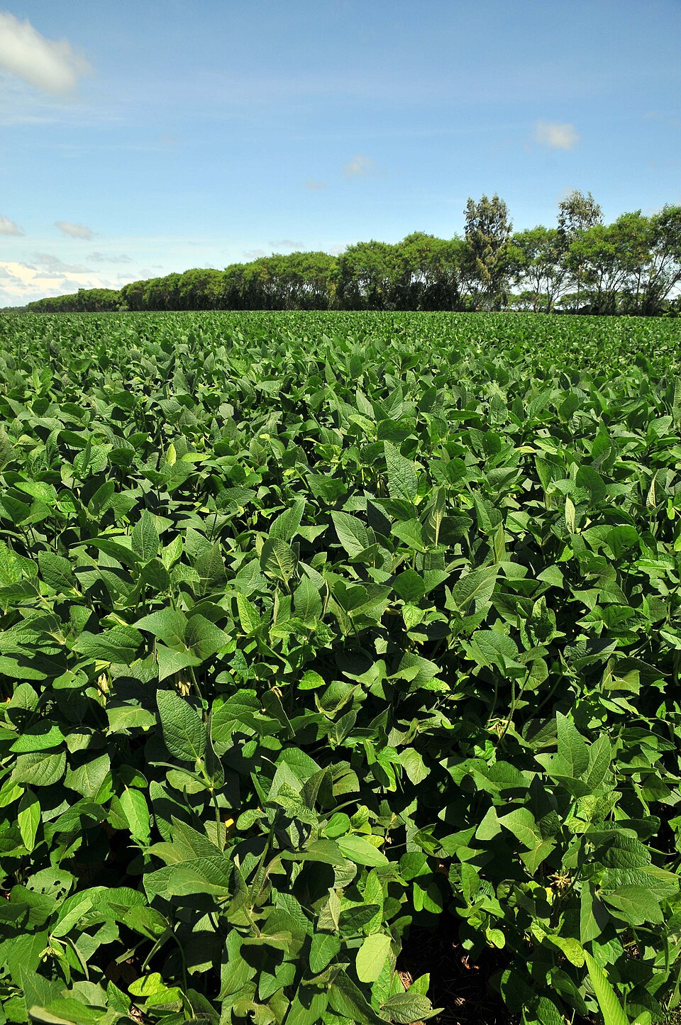 PSARDI — Plan del Sector Agropecuario y Rural con Desarrollo Integral